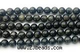 CAE323 15.5 inches 10mm round astrophyllite gemstone beads