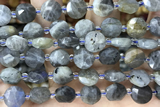 COIN20 15 inches 10mm faceted coin labradorite gemstone beads