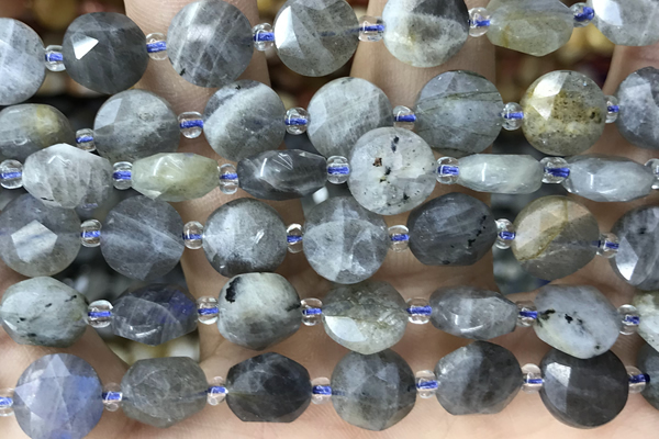 COIN20 15 inches 10mm faceted coin labradorite gemstone beads