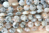 COIN24 15 inches 10mm faceted coin sunstone gemstone beads