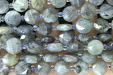 COIN25 15 inches 10mm faceted coin labradorite gemstone beads