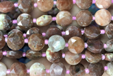 COIN37 15 inches 10mm faceted coin jasper gemstone beads