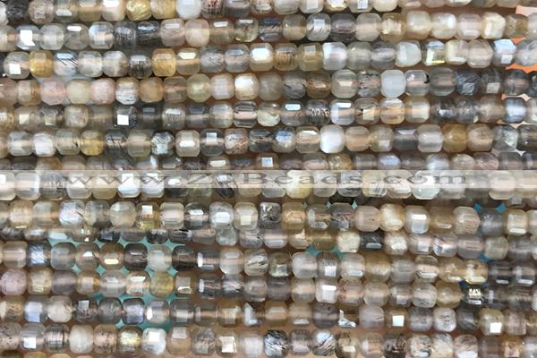 CUBE60 15 inches 3.5mm faceted cube moonstone gemstone beads