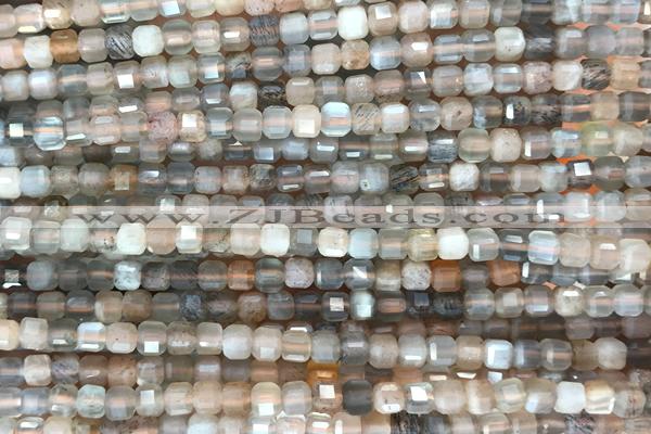 CUBE61 15 inches 3mm faceted cube moonstone gemstone beads