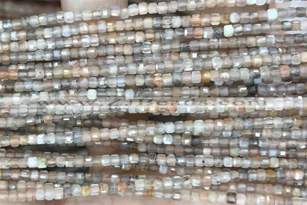 CUBE63 15 inches 2.5mm faceted cube moonstone gemstone beads