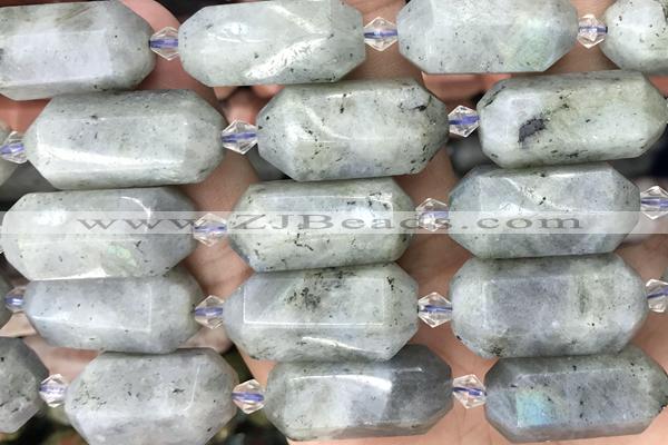 NUGG03 15 inches 12*25mm – 13*28mm faceted nuggets labradorite beads