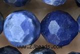 SODA02 15 inches 10mm faceted round sodalite gemstone beads