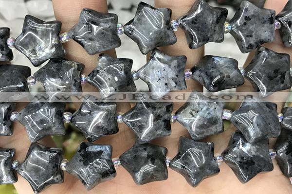 STAR23 15 inches 16mm star black labradorite gemstone beads