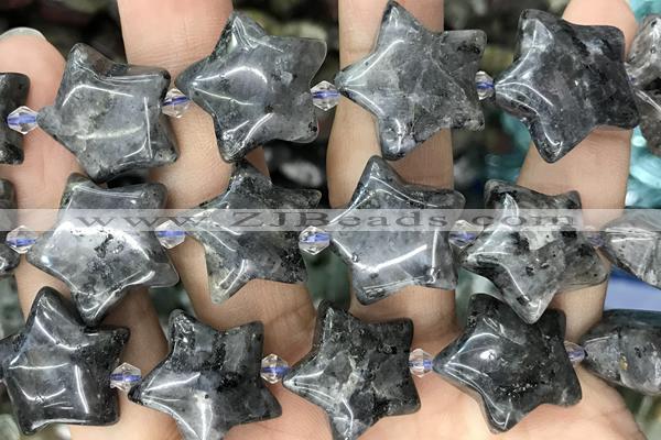 STAR38 15 inches 20mm star black labradorite beads