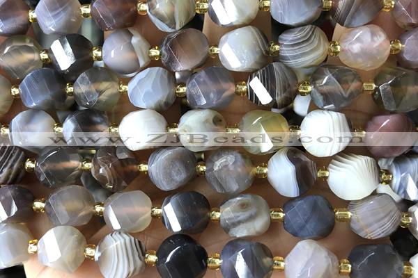 TWIS03 15 inches 9*10mm faceted twisted botswana agate beads