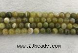 CAA1953 15.5 inches 10mm round banded agate gemstone beads
