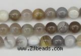 CAA224 15.5 inches 8mm round botswana agate gemstone beads