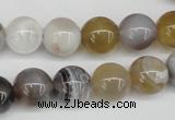 CAA226 15.5 inches 12mm round botswana agate gemstone beads