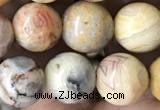 CAA2351 15.5 inches 10mm round crazy lace agate beads wholesale