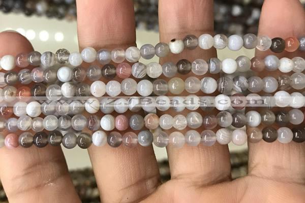 CAA2378 15.5 inches 4mm round Botswana agate beads wholesale