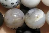 CAA3579 15.5 inches 12mm round parral dendrite agate beads