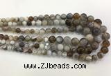 CAA3700 15.5 inches 6mm - 13mm round Botswana agate graduated beads