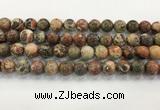 CAA3702 15.5 inches 12mm round rainforest agate beads wholesale