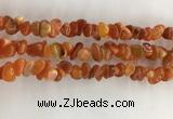 CAA3806 15.5 inches 4*6mm - 8*10mm chips red agate beads wholesale