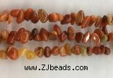 CAA3807 15.5 inches 8*12mm - 10*14mm chips red agate beads wholesale