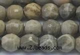 CAA3961 15.5 inches 6mm faceted round chrysanthemum agate beads