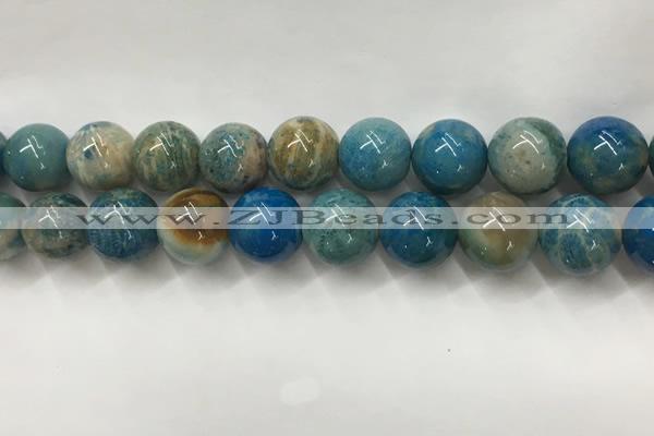 CAA3982 15.5 inches 16mm round chrysanthemum agate beads