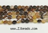 CAA4580 15.5 inches 10mm flat round banded agate beads wholesale