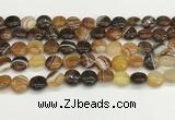 CAA4588 15.5 inches 12mm flat round banded agate beads wholesale