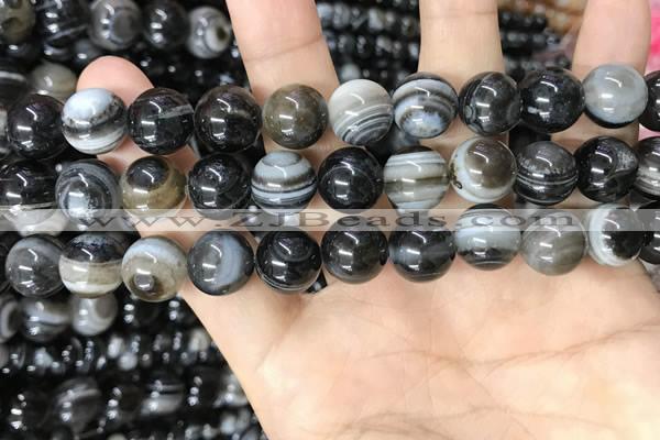 CAA4960 15.5 inches 10mm round Madagascar agate beads wholesale