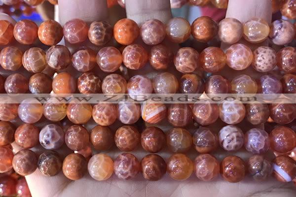 CAA5072 15.5 inches 8mm round red dragon veins agate beads