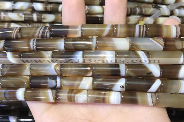 CAA5126 15.5 inches 8*20mm tube striped agate beads wholesale