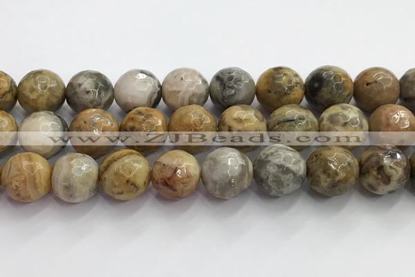 CAA5295 15.5 inches 14mm faceted round crazy lace agate beads wholesale