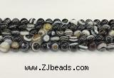 CAA5425 15.5 inches 10mm round agate gemstone beads