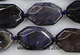 CAA595 15.5 inches 18*25mm faceted octagonal dragon veins agate beads