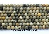 CAA6101 15.5 inches 6mm round chrysanthemum agate gemstone beads