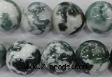 CAA705 15.5 inches 16mm round tree agate gemstone beads wholesale