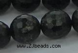 CAE41 15.5 inches 18mm faceted round astrophyllite beads wholesale