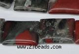 CAF02 15.5 inches 18*25mm rectangle African bloodstone beads