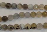 CAG2421 15.5 inches 6mm faceted round Chinese botswana agate beads