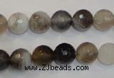 CAG2423 15.5 inches 10mm faceted round Chinese botswana agate beads