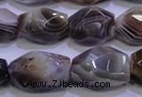 CAG2775 15.5 inches 14*20mm faceted nuggets botswana agate beads wholesale