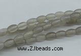 CAG3560 15.5 inches 4*6mm rice grey agate gemstone beads