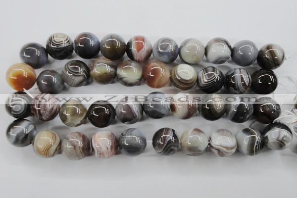 CAG3688 15.5 inches 20mm round botswana agate beads wholesale