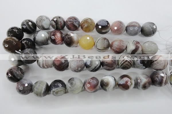 CAG3698 15.5 inches 20mm faceted round botswana agate beads wholesale