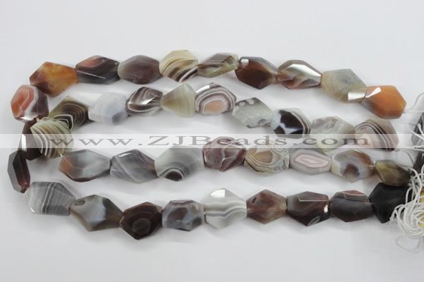 CAG3732 15*18mm – 20*23mm faceted freeform botswana agate beads