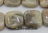 CAG3898 15.5 inches 20*20mm square chrysanthemum agate beads