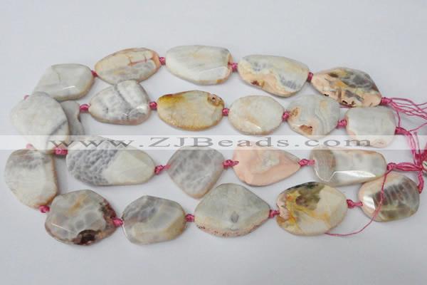 CAG5535 15.5 inches 25*30mm - 25*38mm freeform agate gemstone beads