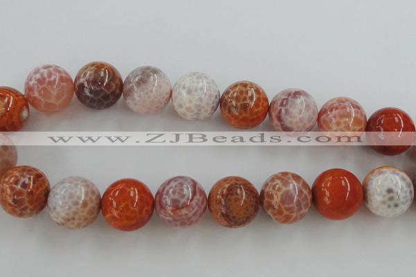CAG5567 15.5 inches 18mm round natural fire agate beads wholesale