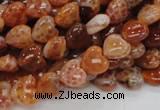 CAG627 15.5 inches 8*8mm heart natural fire agate beads wholesale