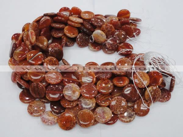 CAG632 15.5 inches 20mm coin natural fire agate beads wholesale